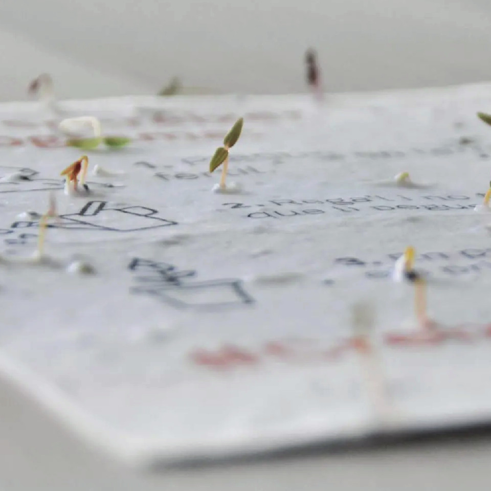 Paper plantable - Graupera indústria gràfica